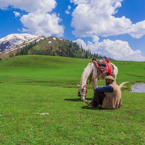 listing-details-carousel